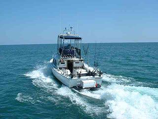 "Harpoon" 31 Bertram FBC - $39,900 USD