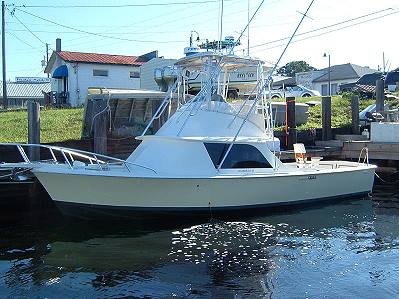 31 Bertram - Flybridge Cruiser