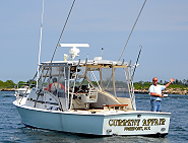 "Current Affair" - Owned by Charlie Johnson, Freeport NY