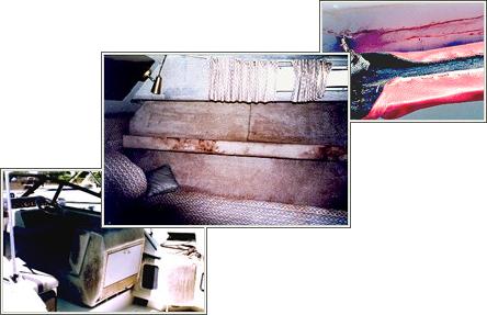 Rotten Plywood